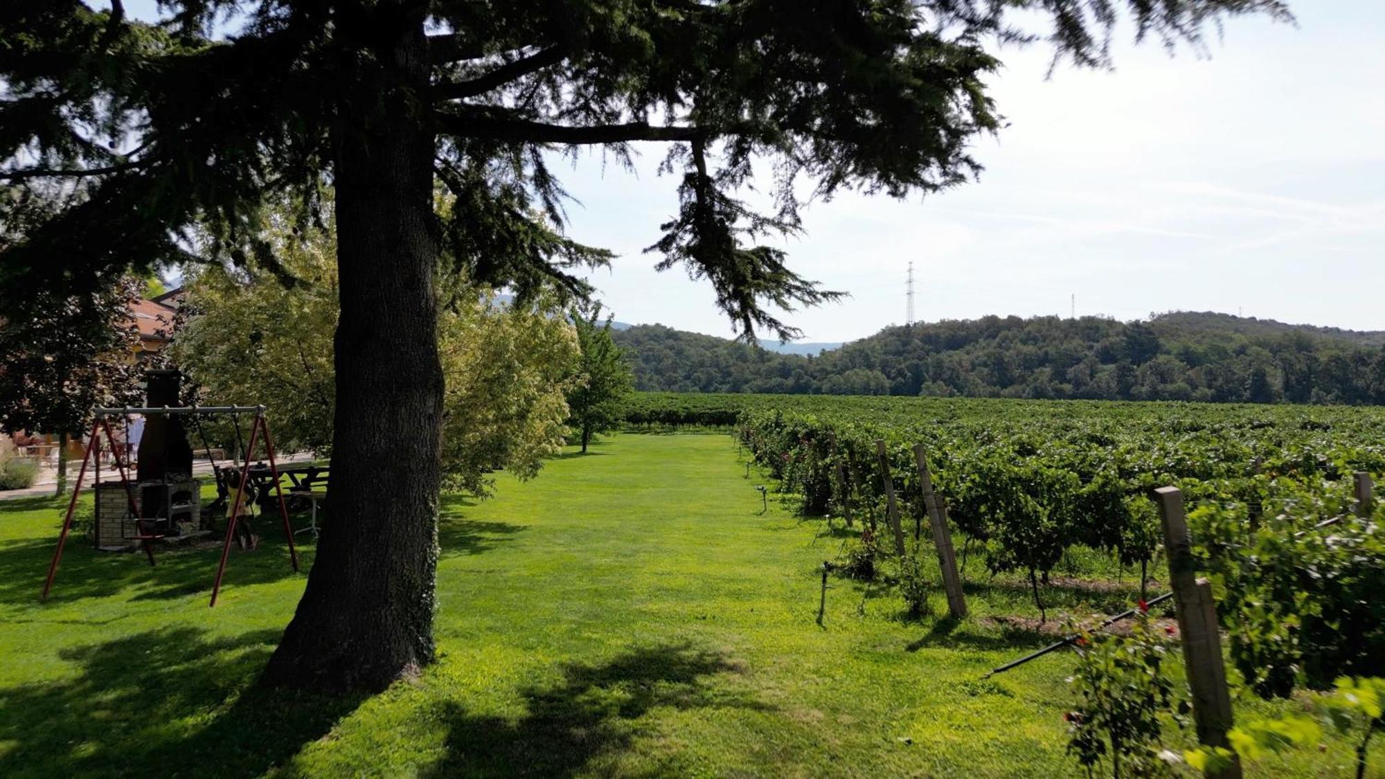 קאפרינו ורונזה Agriturismo Corte Patrizia מראה חיצוני תמונה