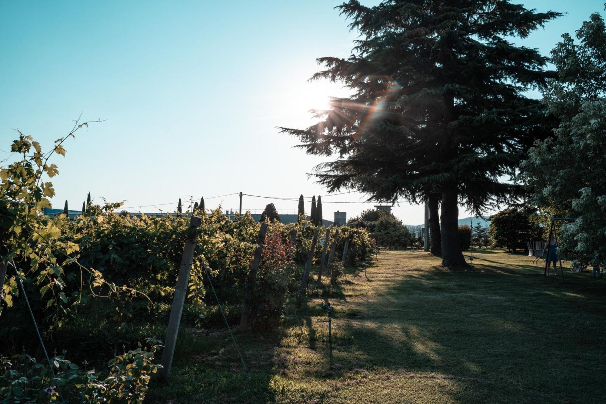 קאפרינו ורונזה Agriturismo Corte Patrizia מראה חיצוני תמונה