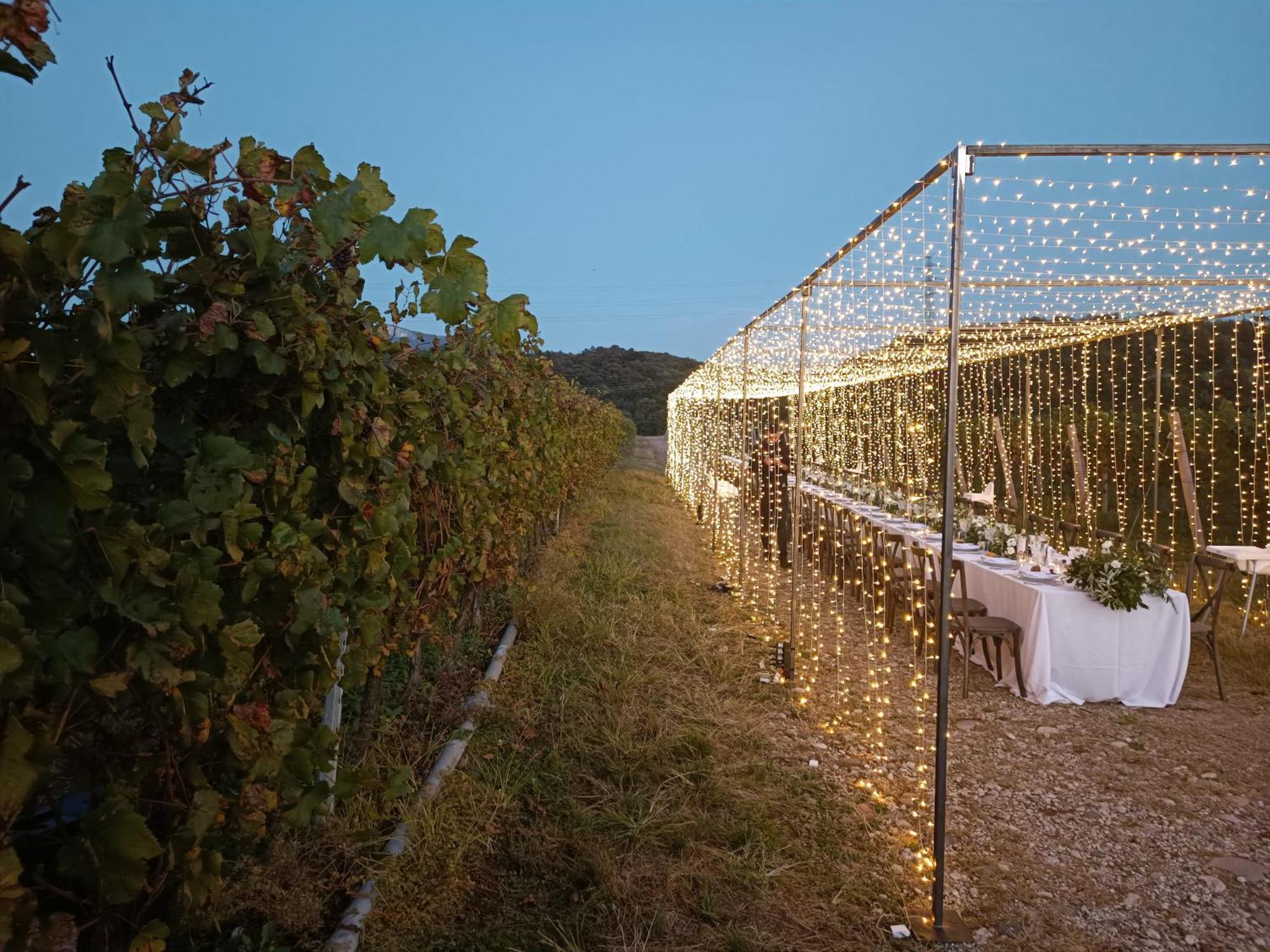 קאפרינו ורונזה Agriturismo Corte Patrizia מראה חיצוני תמונה