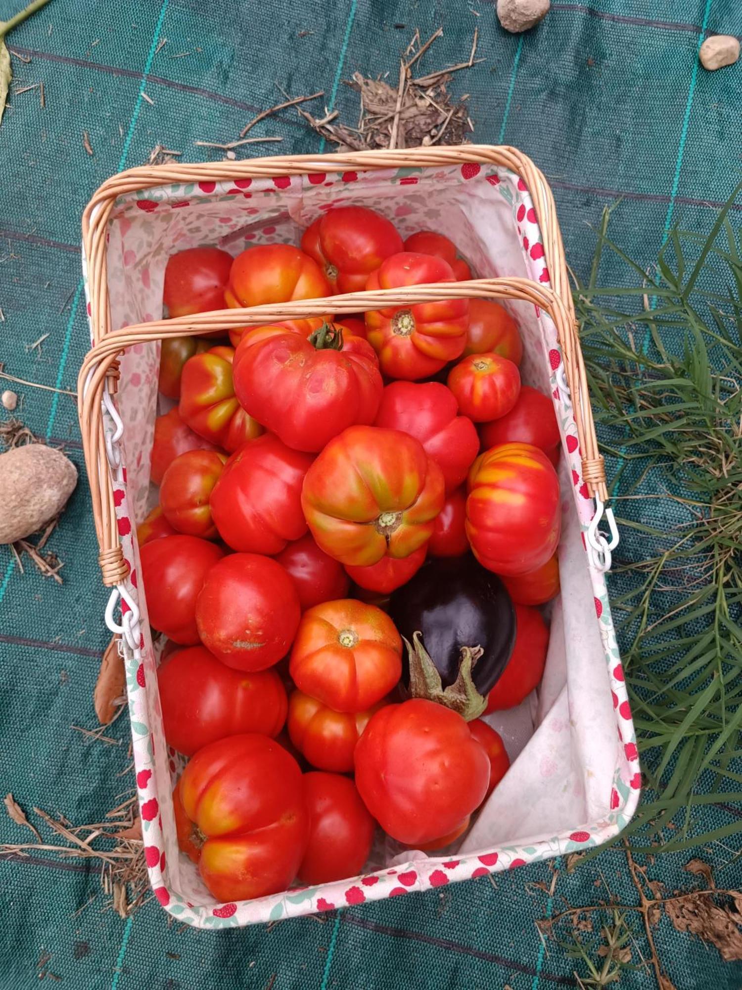 קאפרינו ורונזה Agriturismo Corte Patrizia מראה חיצוני תמונה